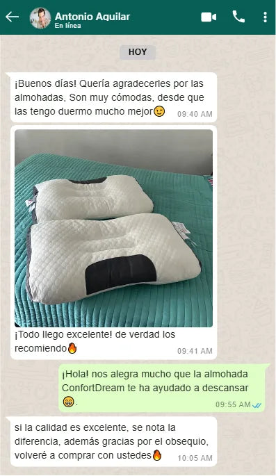 Almohada Sueños Placenteros Ortopédicos