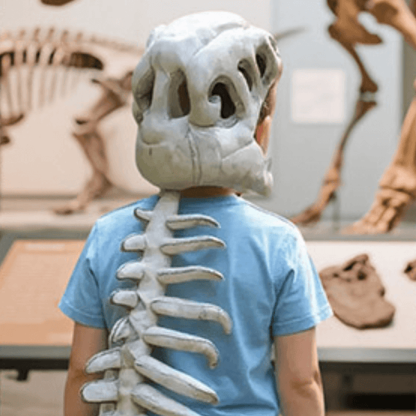 SpineSaurus Disfraz Dino de Peluche