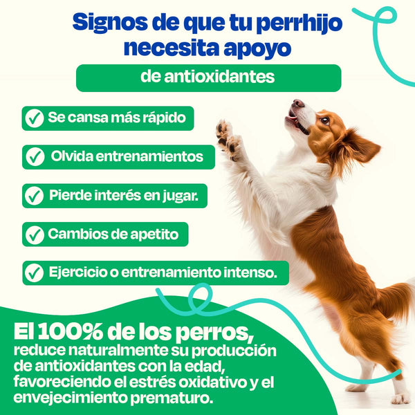 Antiox Blend Vitalidad Canina Plus