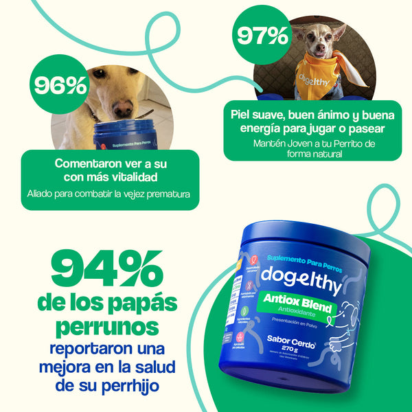 Antiox Blend Vitalidad Canina Plus