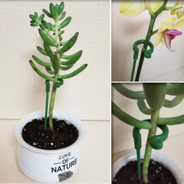 Soporte de Plantas Elegante