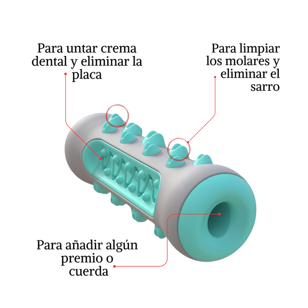 Hueso Divertido y Saludable