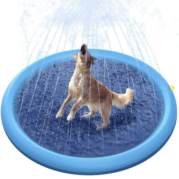Piscina de Diversión para Perros