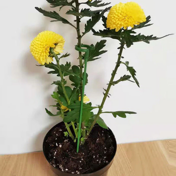 Soporte de Plantas Elegante